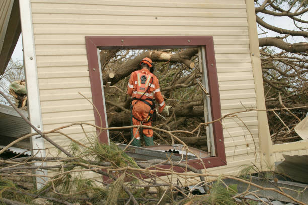 Professional Tree Removal in Greenville, MS